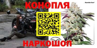 крисы Краснокаменск