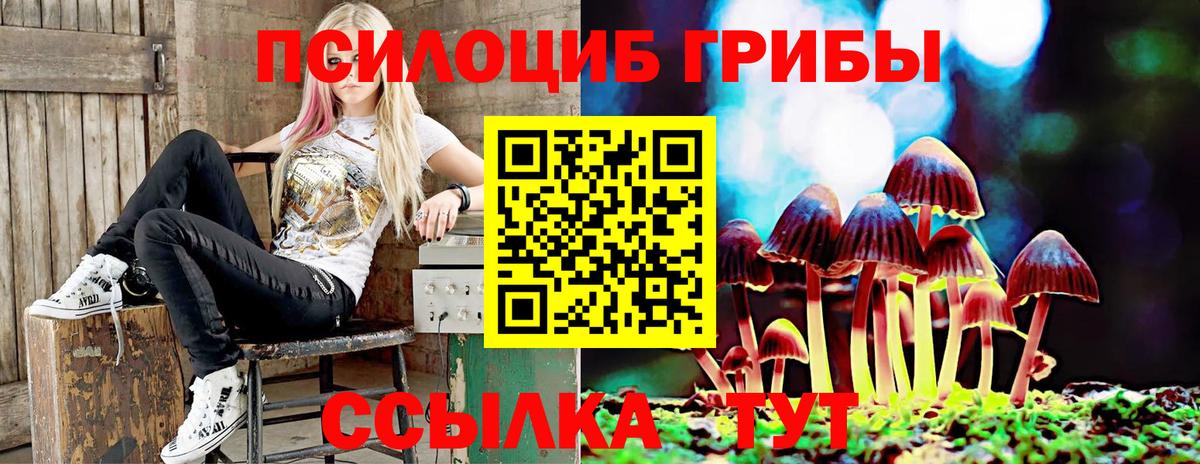 Гай  Псилоцибиновые грибы Cubensis  Вход с VPN 