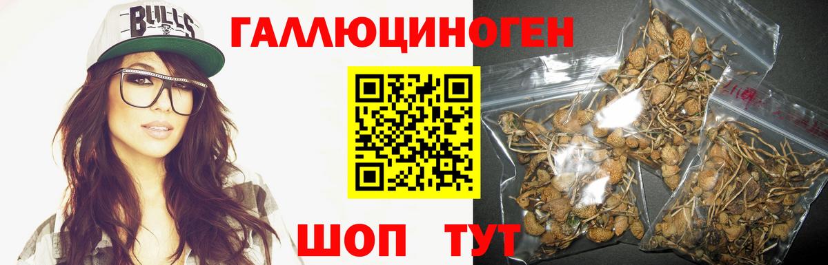Псилоцибиновые грибы MAGIC MUSHROOMS Гай